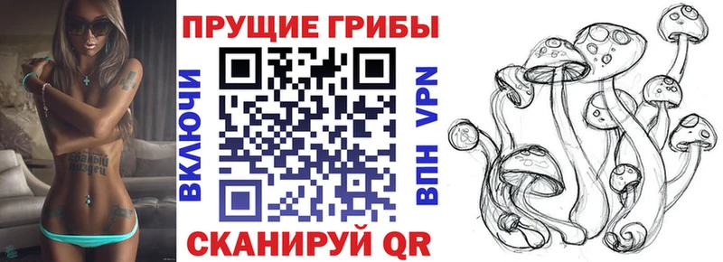Купить где  Киров  Псилоцибиновые грибы MAGIC MUSHROOMS 